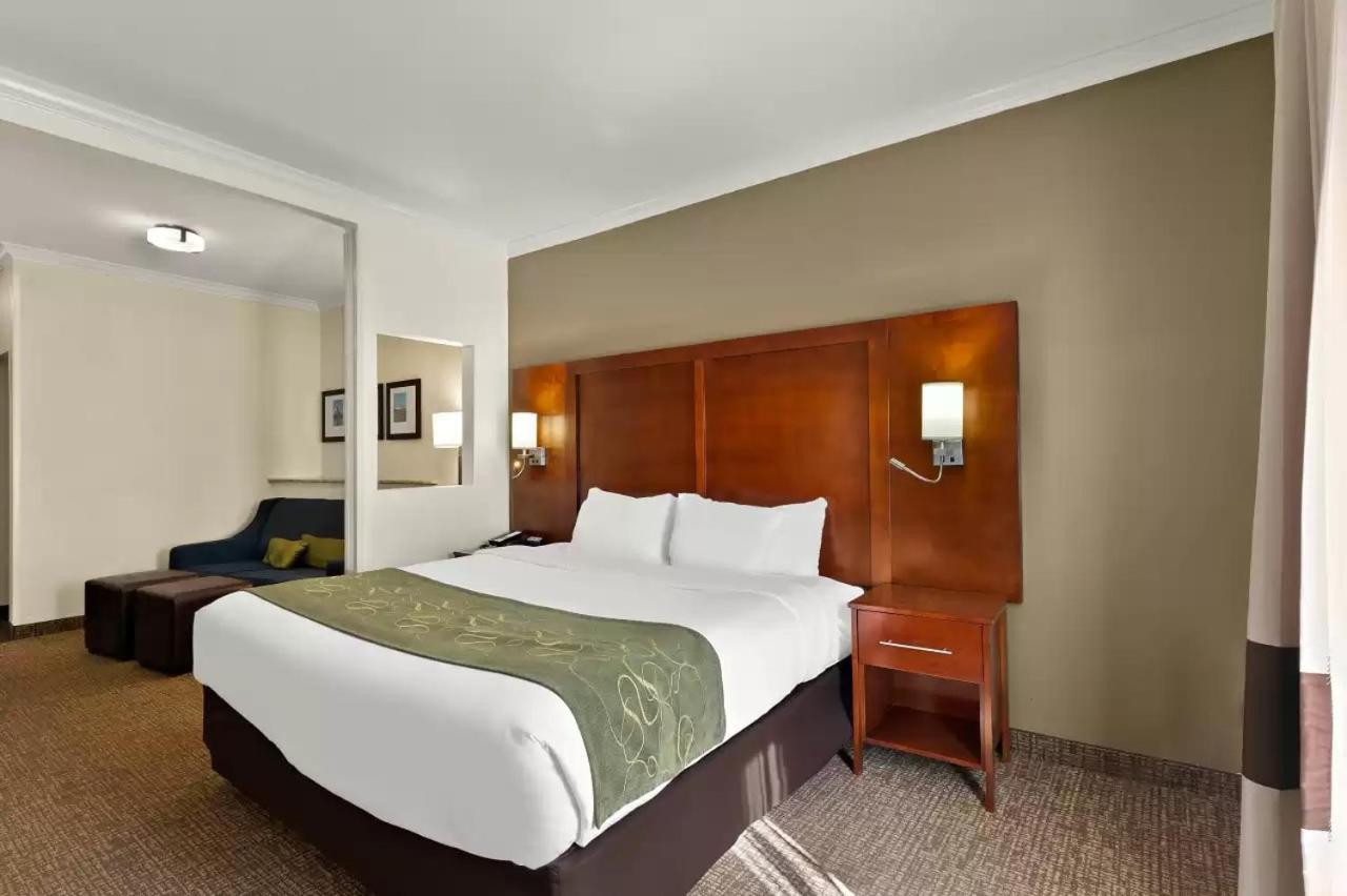 Comfort Suites Central Корпус-Кристи Экстерьер фото