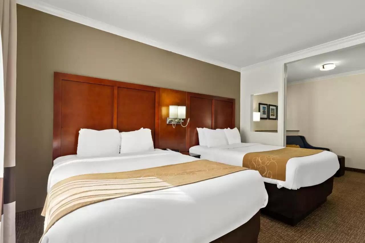 Comfort Suites Central Корпус-Кристи Экстерьер фото
